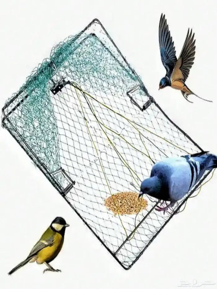 شبكت صيد لطيور 0