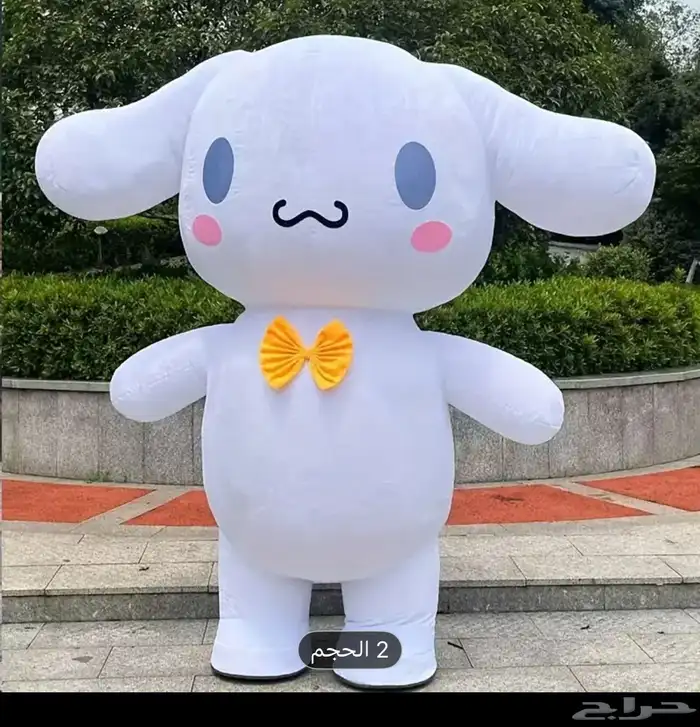 مهرجين و عروض ترفهية متنوعة 12