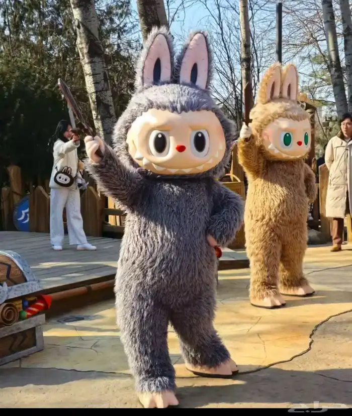 مهرجين و عروض ترفهية متنوعة 13