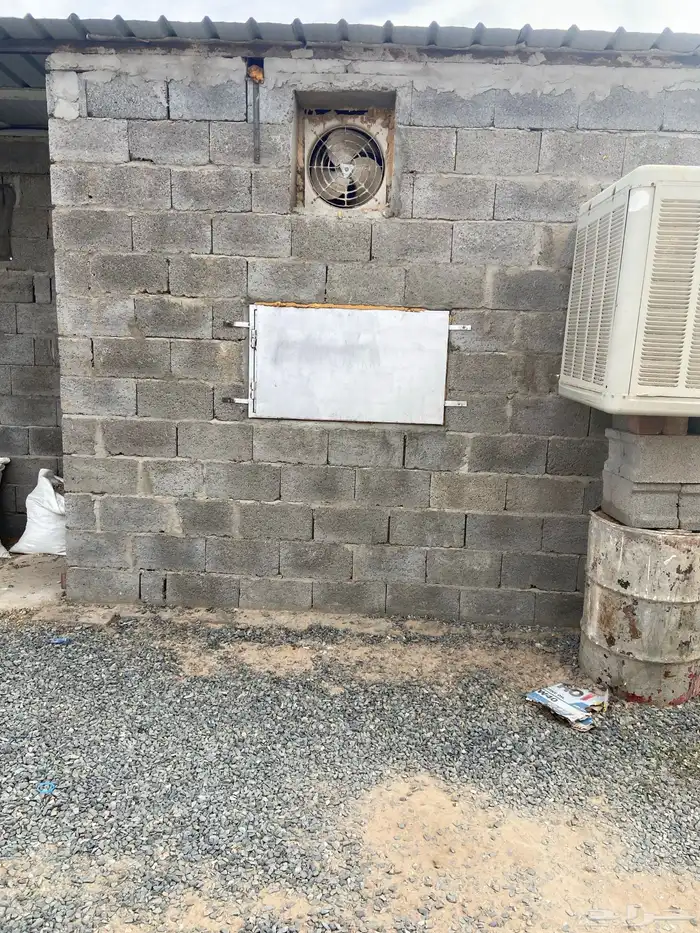 مسلخ دجاج للتقبيل 1