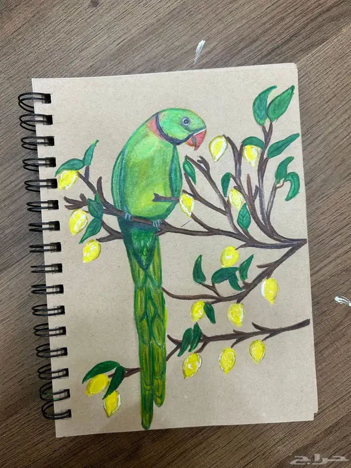 دورات تعليم الرسم الواقعي 13