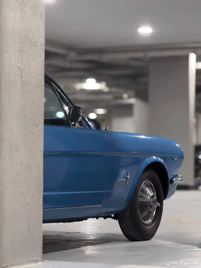 موستنج كلاسيك 5