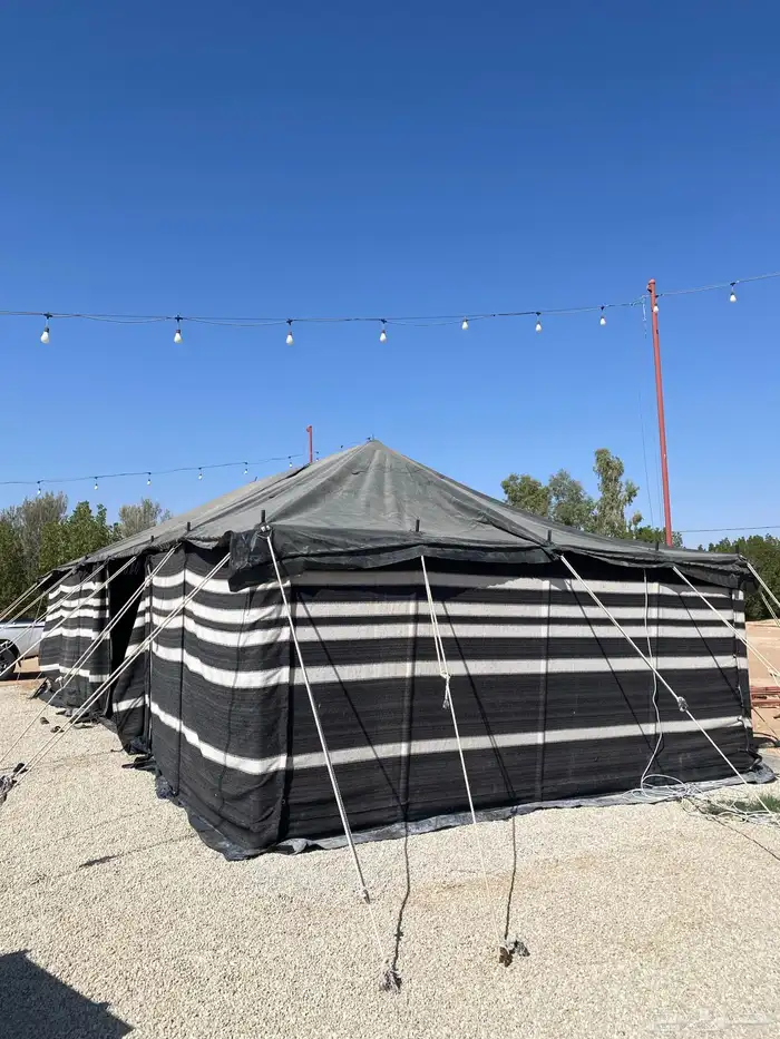 للبيع بيت شعر 10 5 1