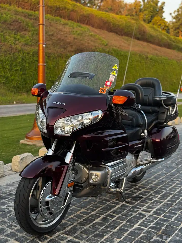 قولدوينق 2006 4