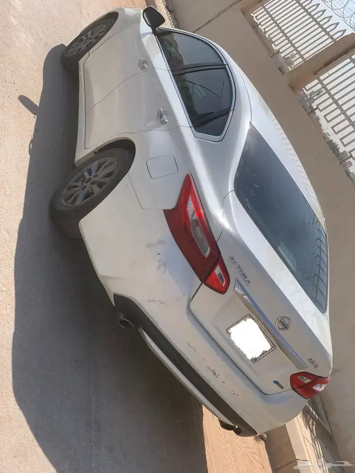 التيماء 2017 5