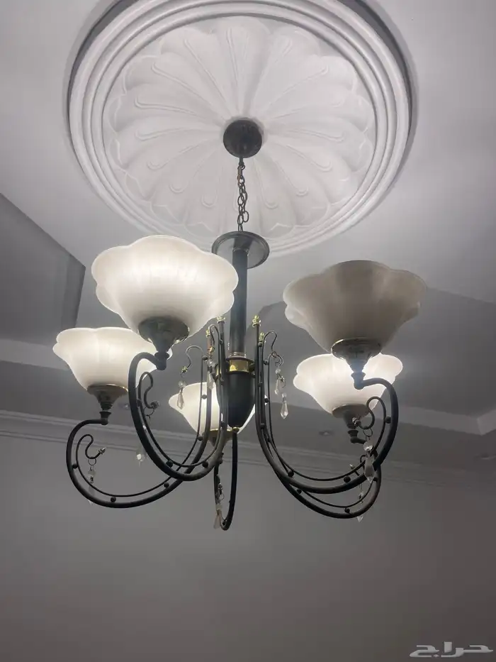 نجفات للبيع 2