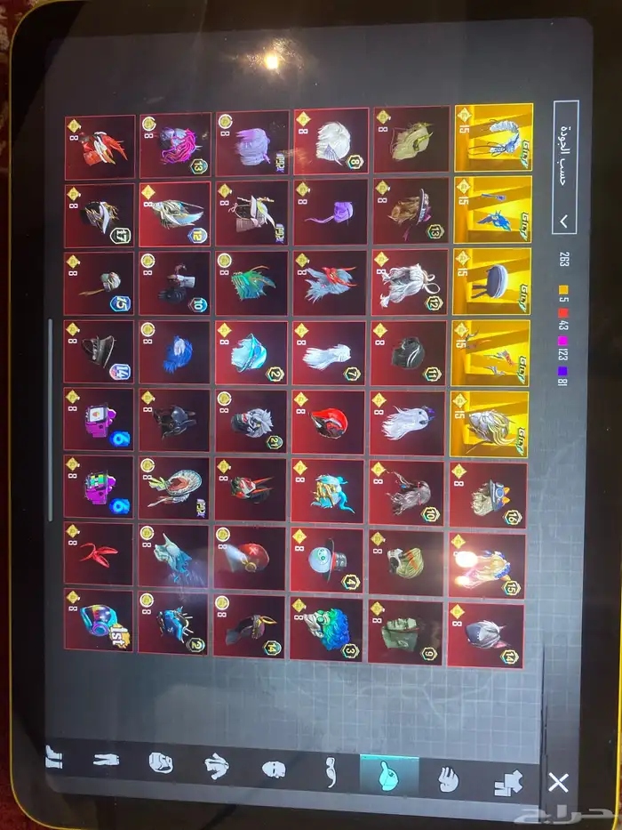 حساب ببجي للبيع 10