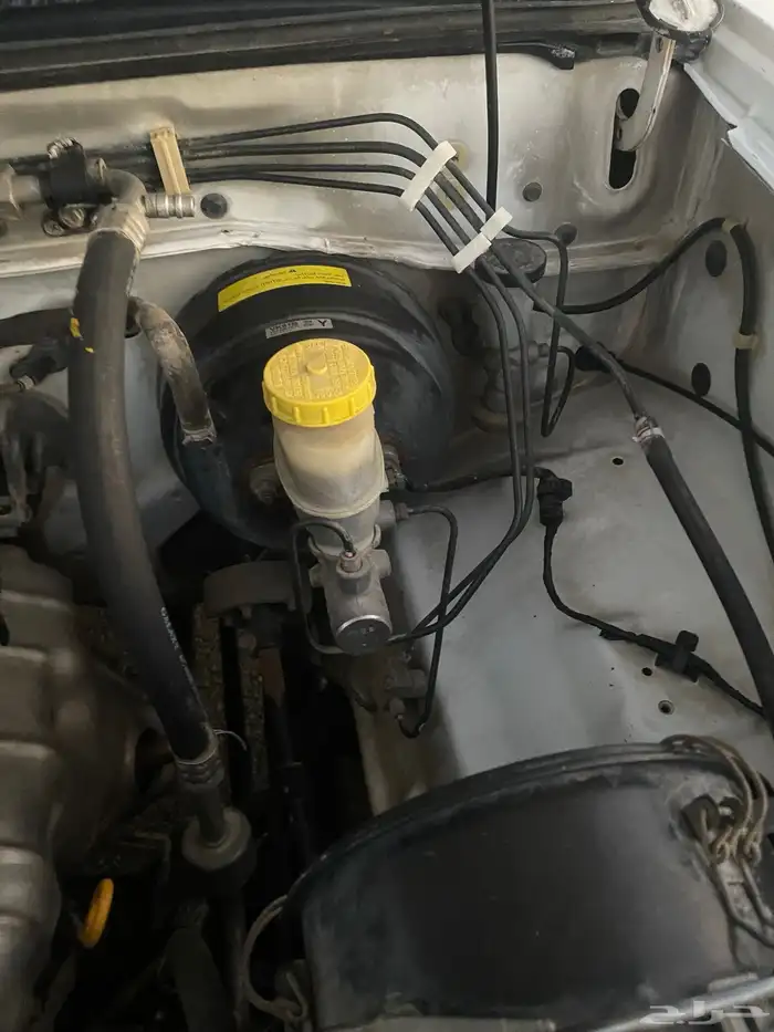 ددسن 2012 غمارتين 39