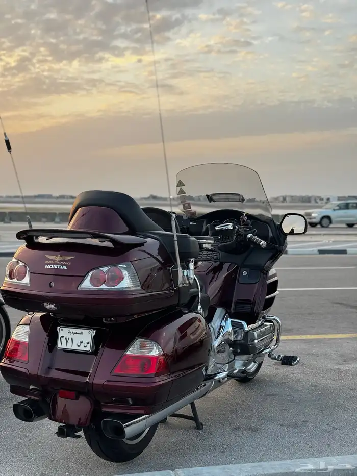 قولدوينق 2006 2