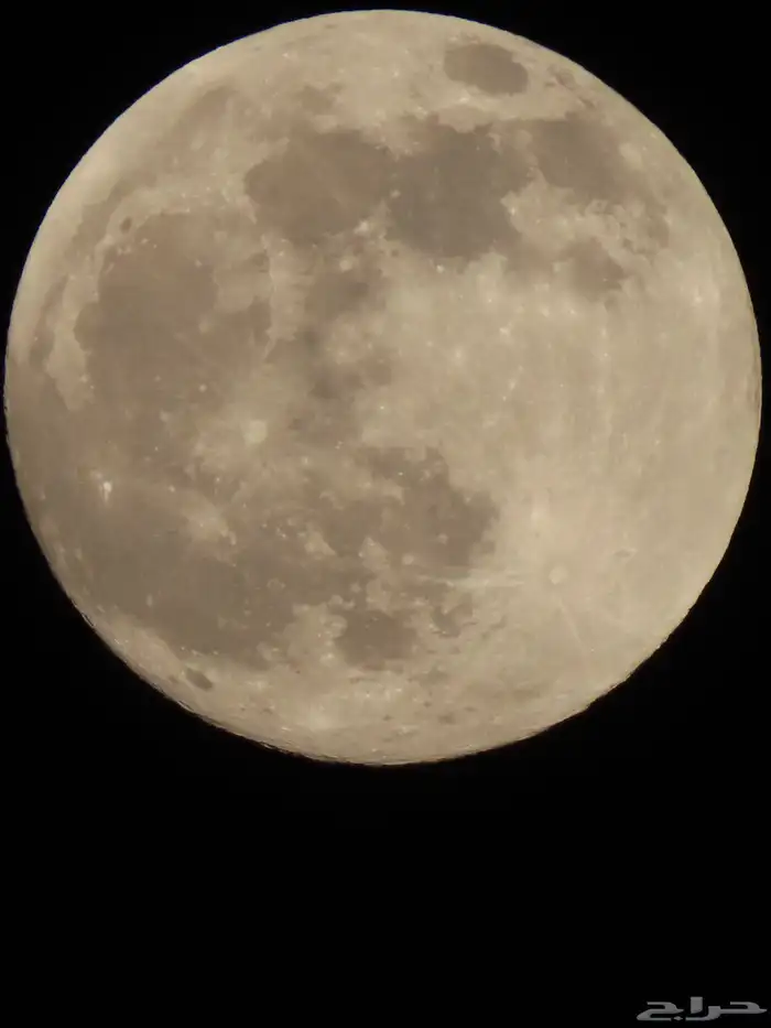 كاميرات كانون و رينون 15