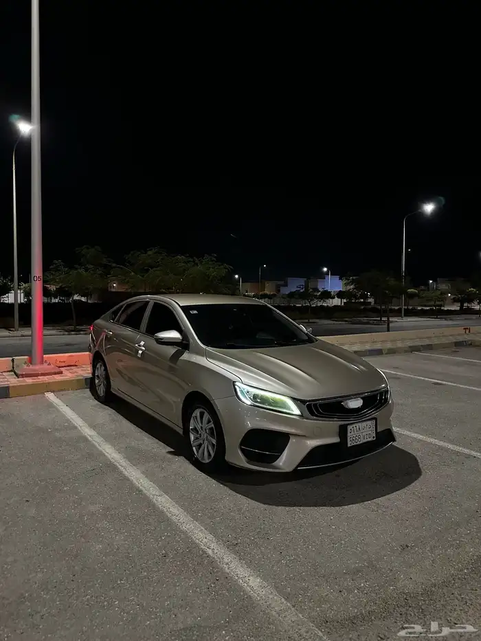 جيلي بينراي 2020 للبيع 1