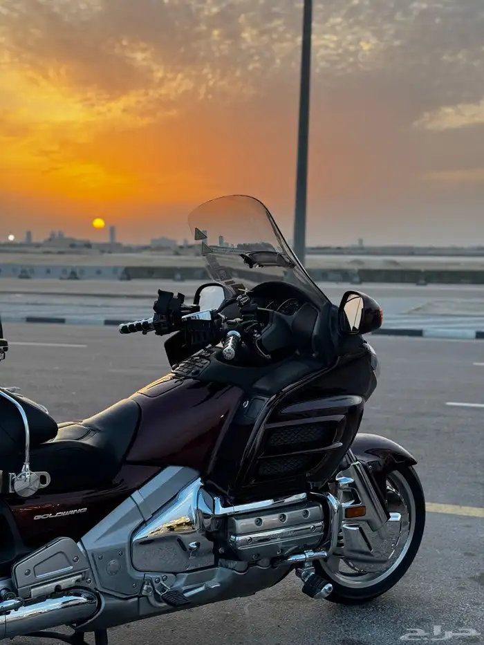 قولدوينق 2006 3