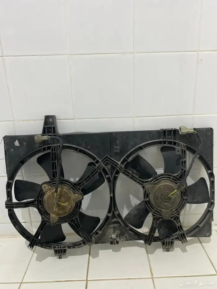 مرواح مكسيما 0