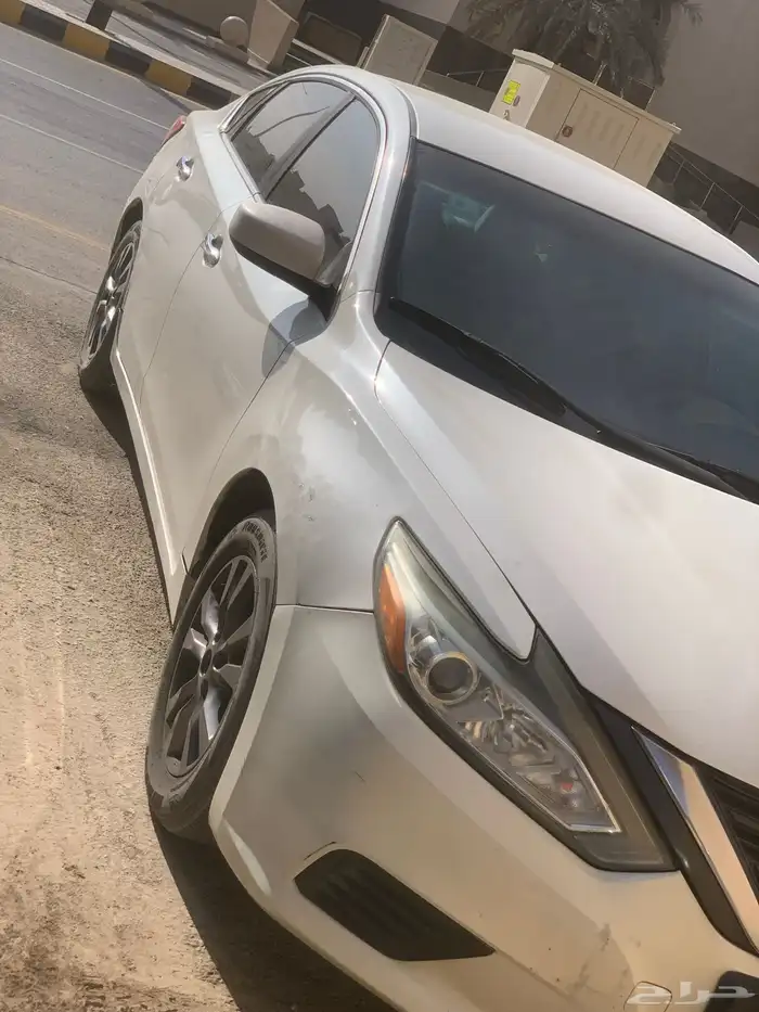 التيماء 2017 0