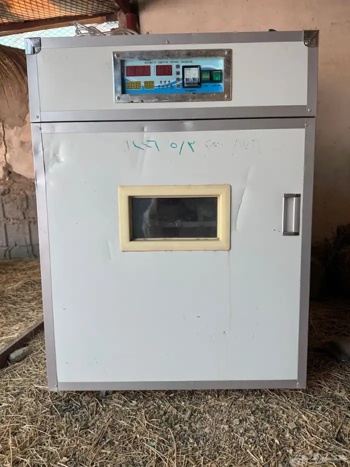 فقاصة تماتيك 0