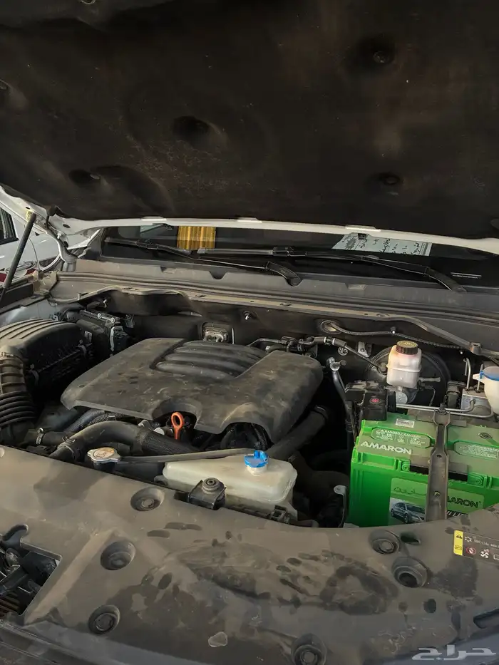 جريت وول باور 2021 5