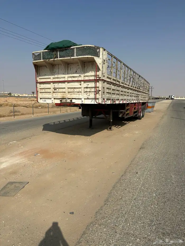 سطحه جوانب طول 12.50 7