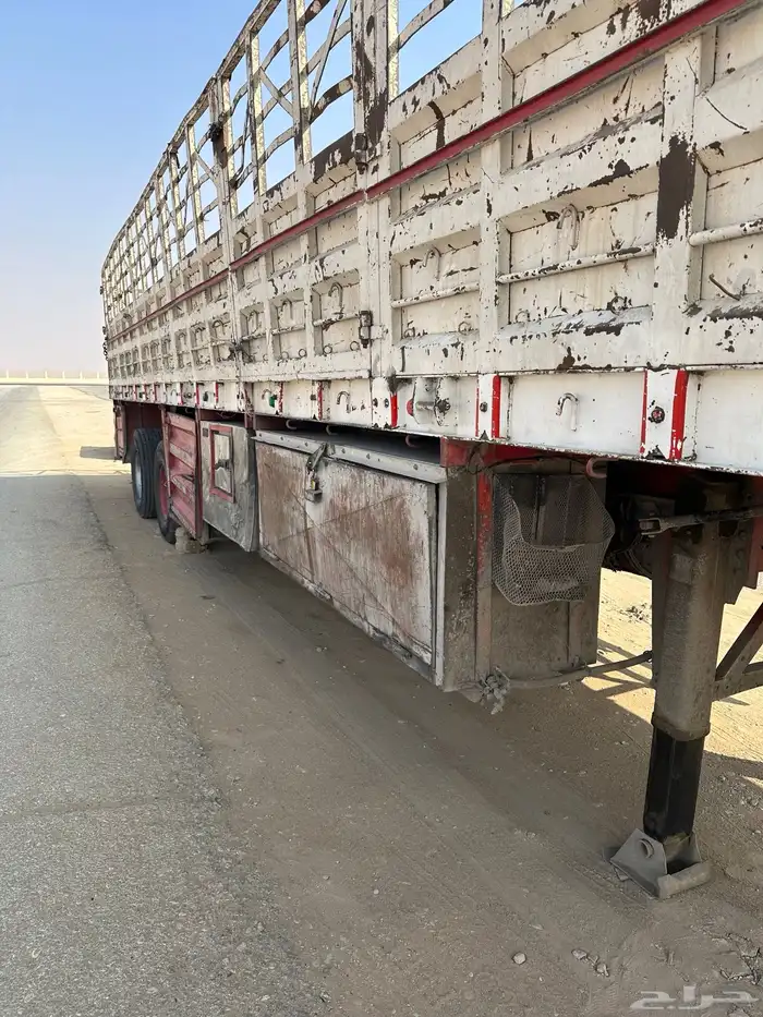 سطحه جوانب طول 12.50 5