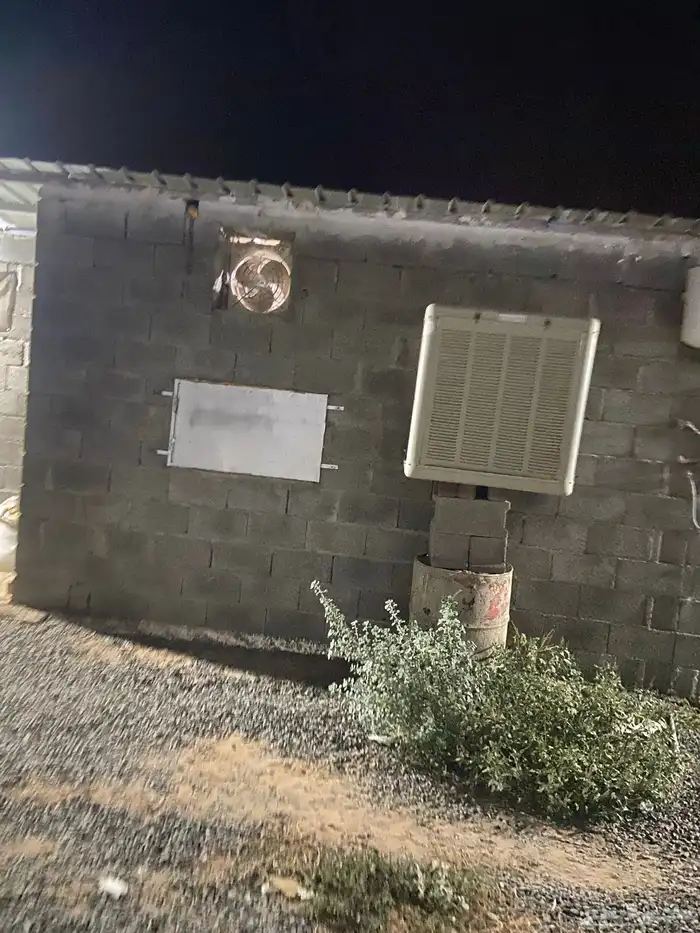 مسلخ دجاج للتقبيل 9