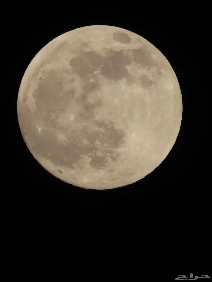 كاميرات كانون و رينون 20