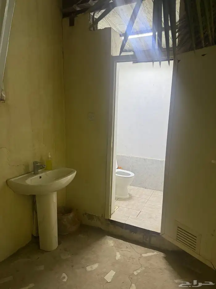 مخيم السوسن في عنيزة 10