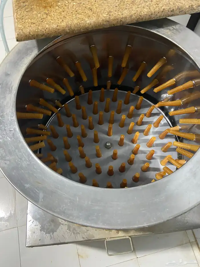 مسلخ دجاج للتقبيل 6