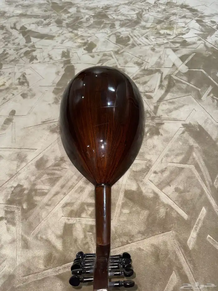 عود مصري 3
