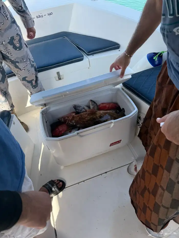 قارب رحلات بحرية 7