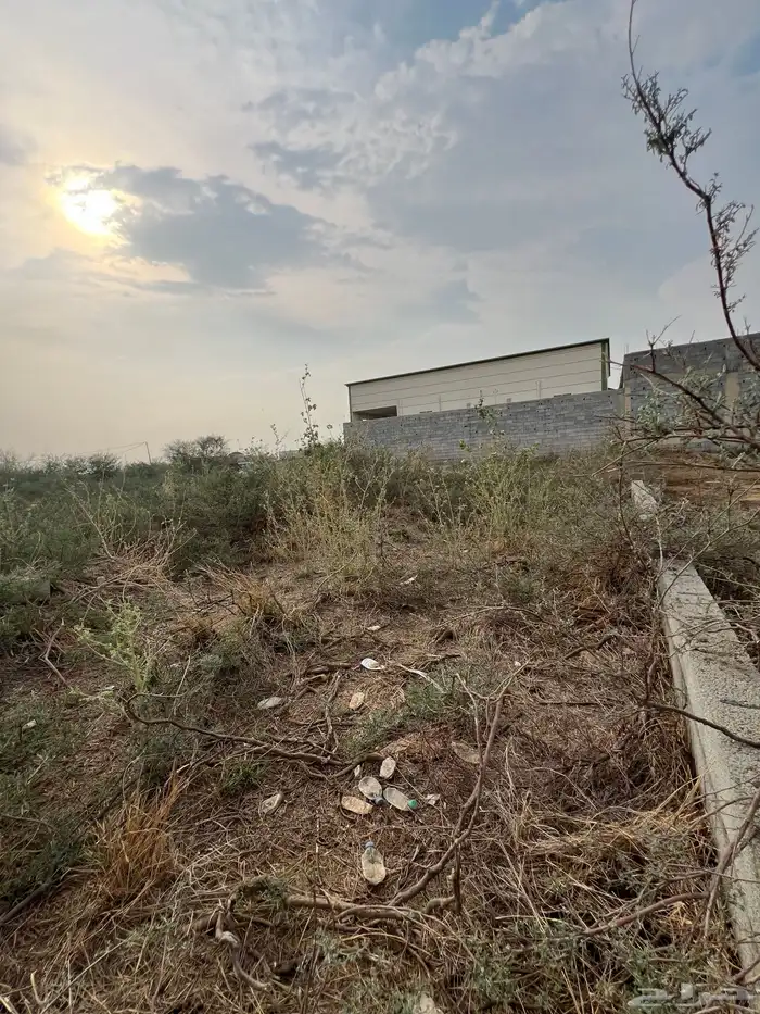 ام العظام بطحان 0