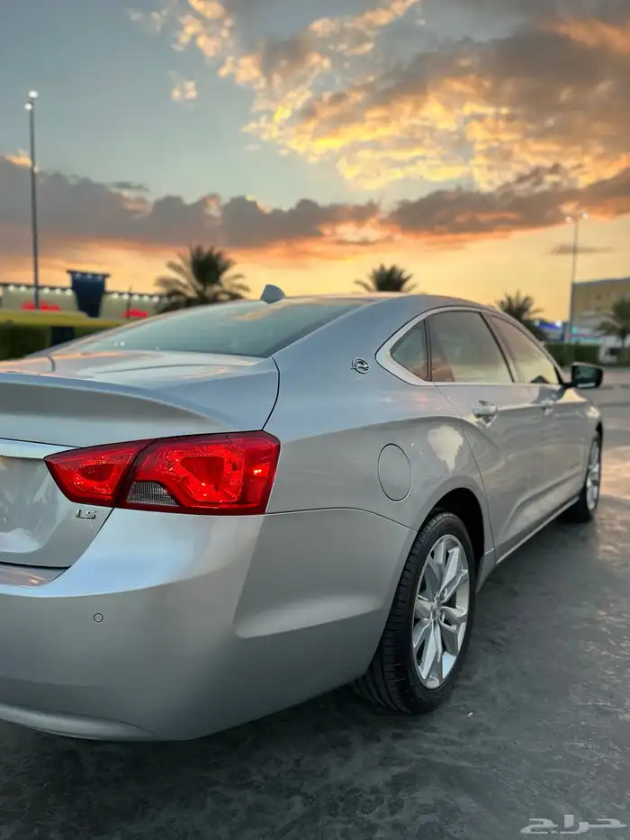 امبالا 2016 وارد التوكيلات 10