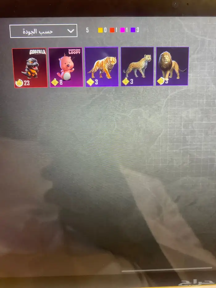 حساب ببجي للبيع 61