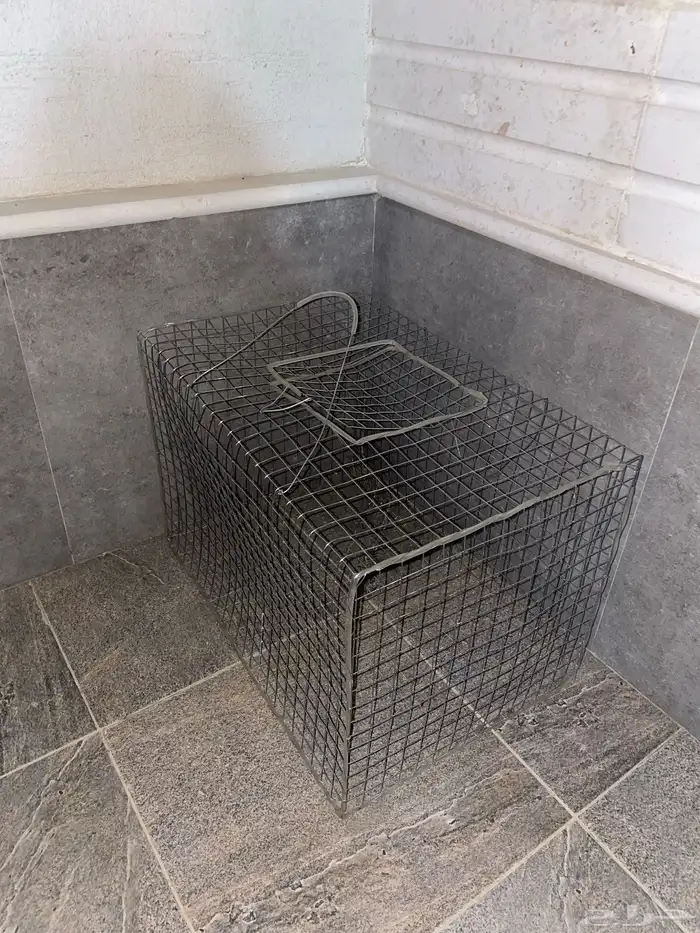 للبيع قفص دجاج 1