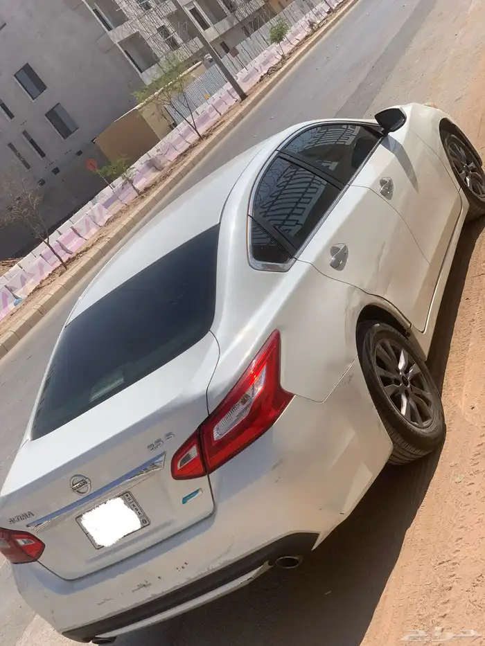 التيماء 2017 6