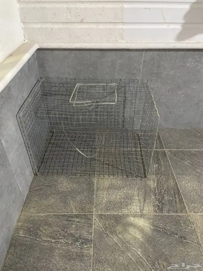 للبيع قفص دجاج 0