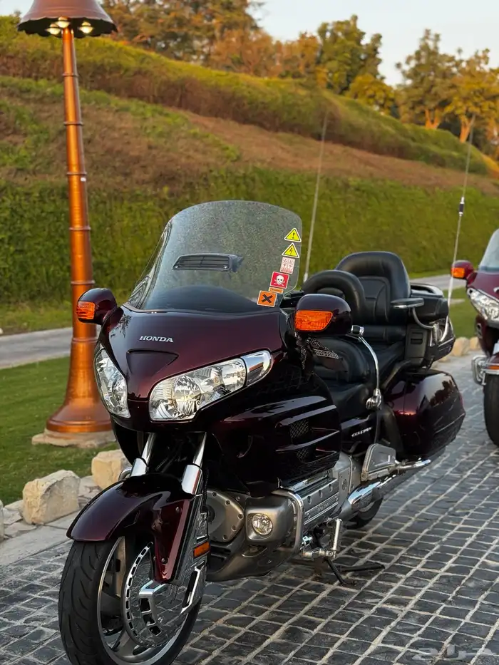 قولدوينق 2006 5