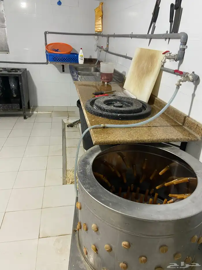 مسلخ دجاج للتقبيل 7