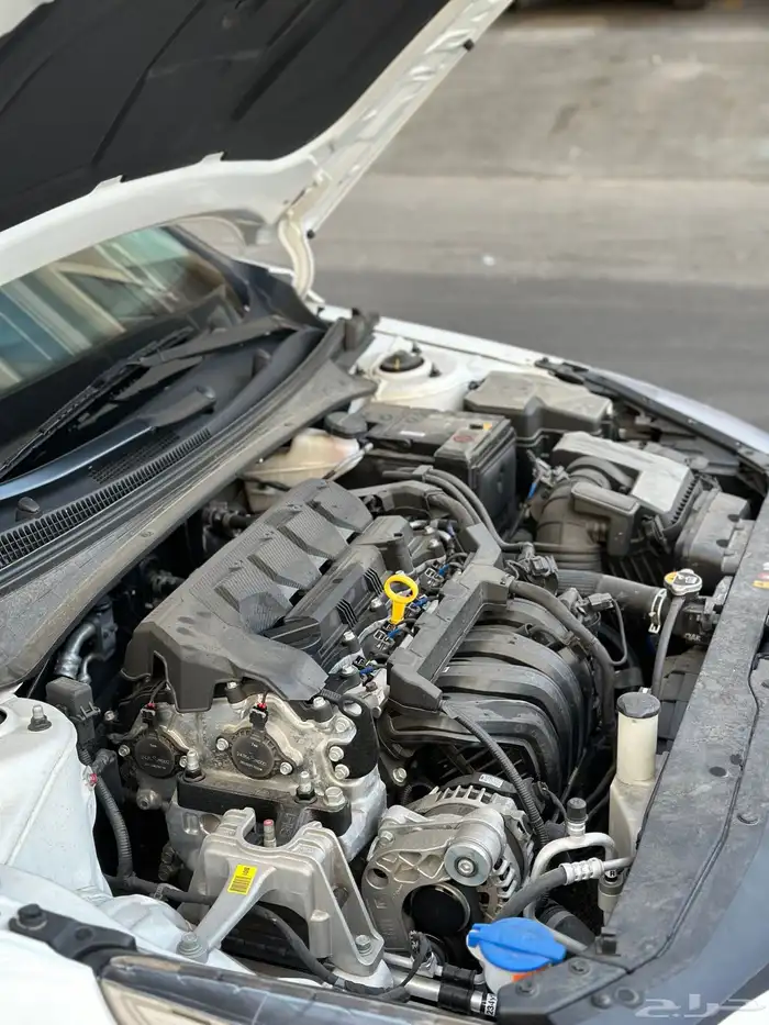 النترا 2021 ممشى 11 الف 32