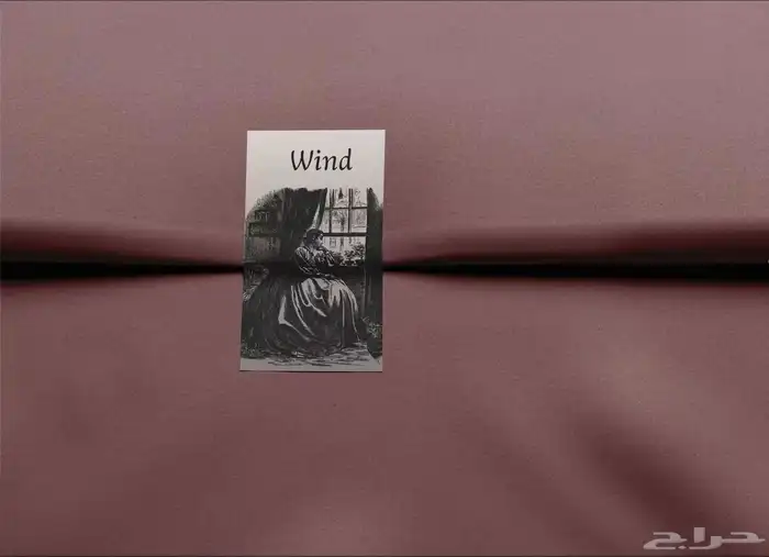 مصممة هويات تجارية خبيرة 15