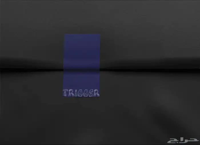 مصممة هويات تجارية خبيرة 19