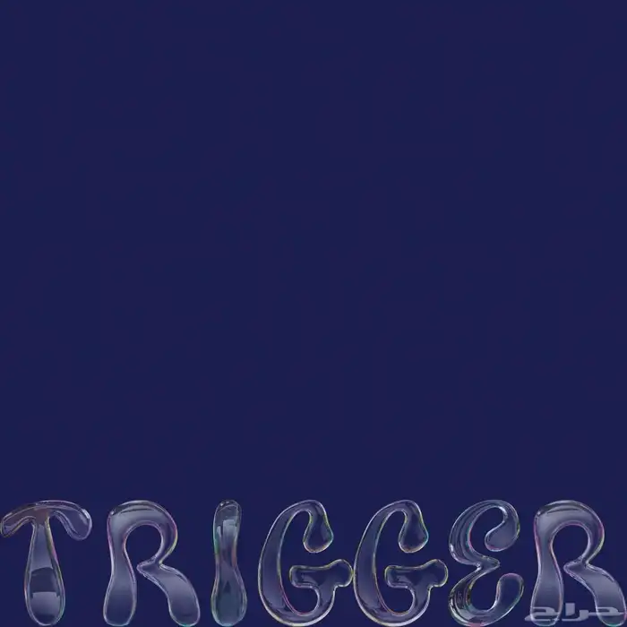 مصممة هويات تجارية خبيرة 17