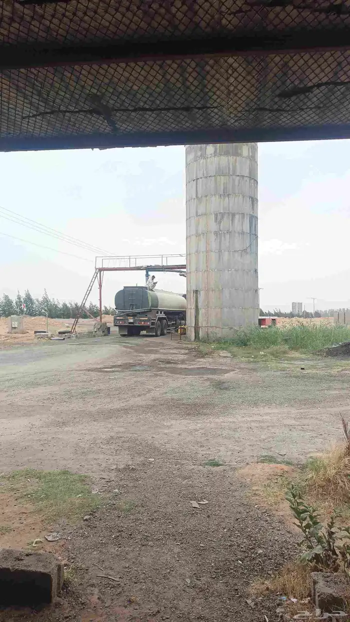 وايت ما من الشقيق للشرب سعر مناسب 0