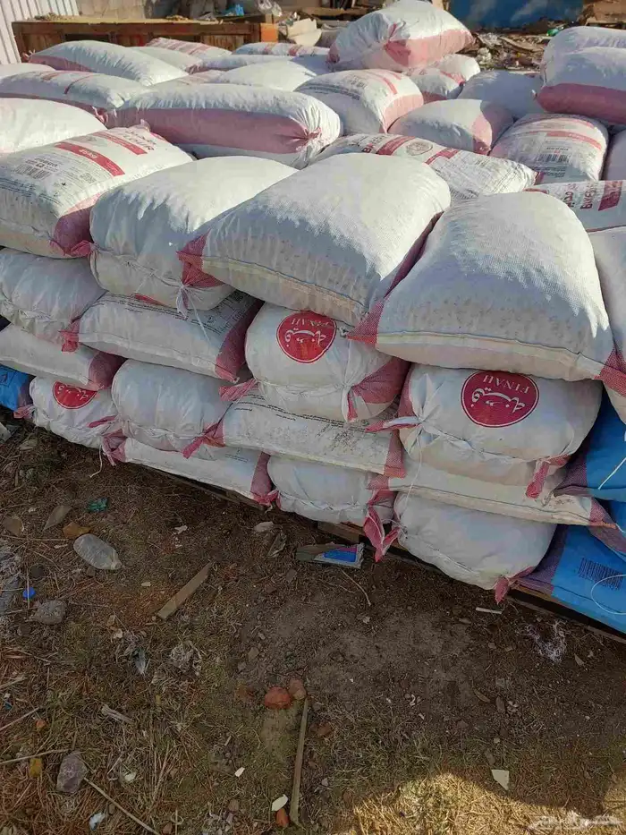 تمر حلال تعبيه فل تمر نضيف شرط 5