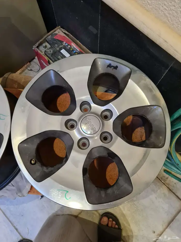 جنوط رانجلر 2017 1