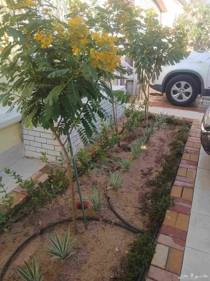 مشتال افندينه لي ازراعه وتنثيك الحديف و الشجار المثمره 0