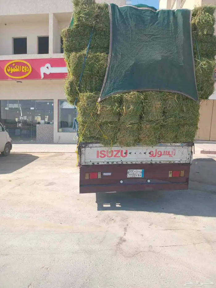 الرياض. برسيم. صافي. العدد. 250. حبه. البرسيم. ناعم. الشد. 8 1