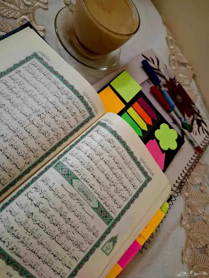 محفظ قرآن كريم وتعليم احكام التجويد وتأسيس لغة عربية 0