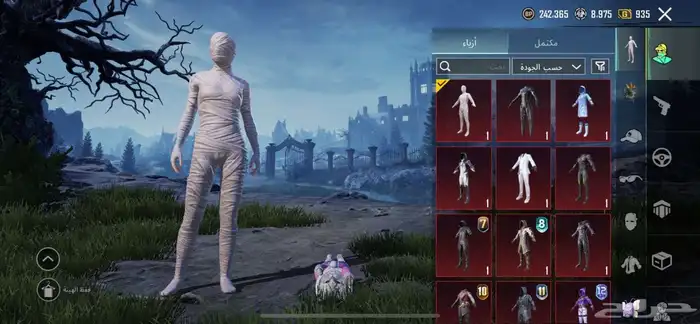 حساب ببجي مميزه 6