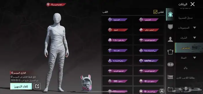 حساب ببجي مميزه 9