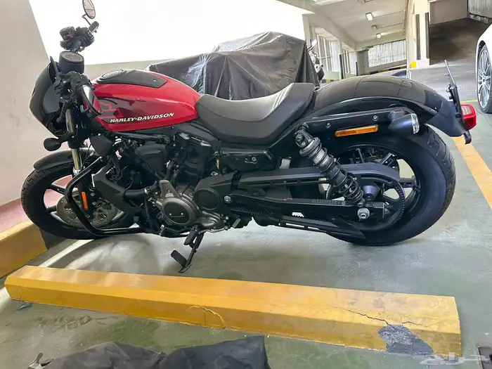 Harley Davidson Nightester 975 1