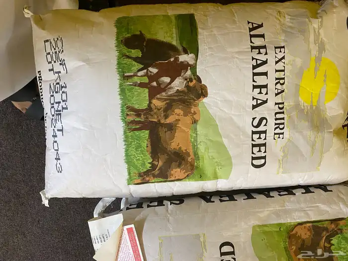 بذور برسيم 3